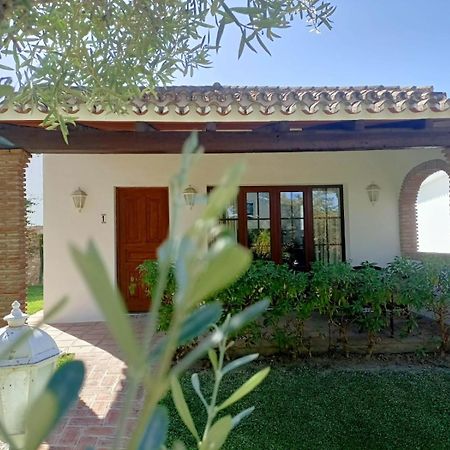 Tottam Art & Healthy Garden Villa Malaga Bagian luar foto