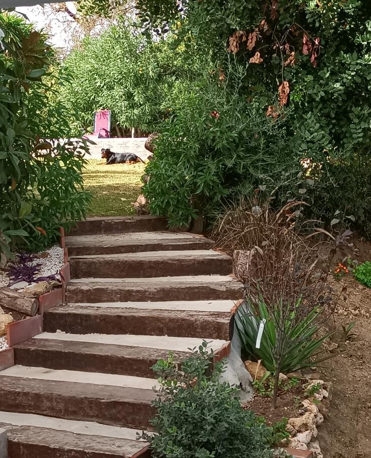 Tottam Art & Healthy Garden Villa Malaga Bagian luar foto