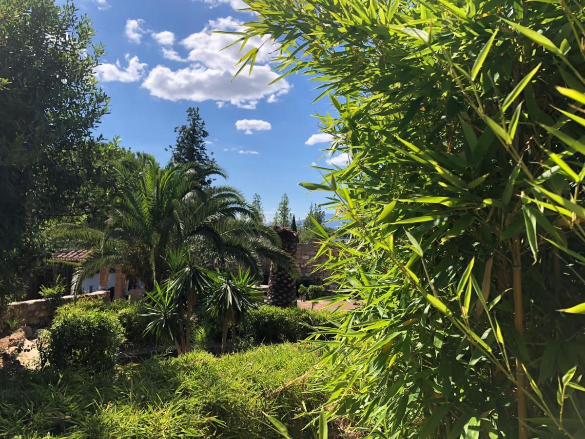Tottam Art & Healthy Garden Villa Malaga Bagian luar foto