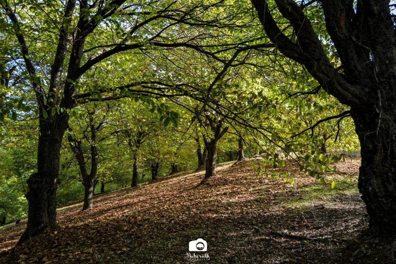 Tottam Art & Healthy Garden Villa Malaga Bagian luar foto