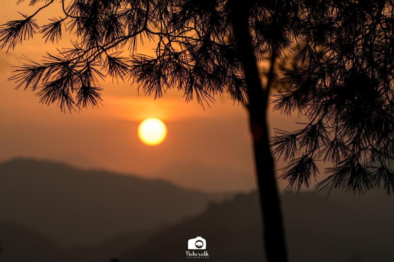 Tottam Art & Healthy Garden Villa Malaga Bagian luar foto