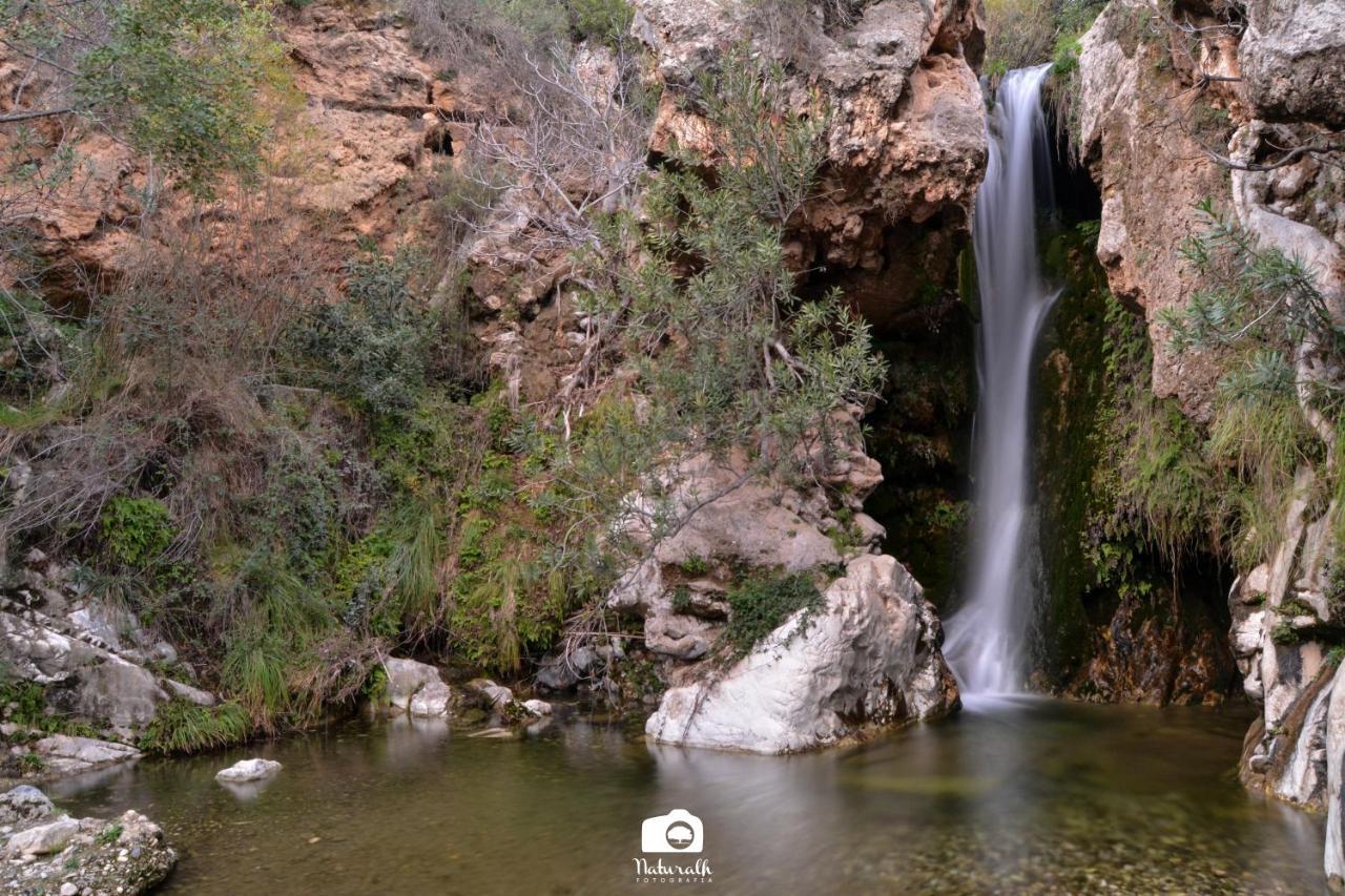 Tottam Art & Healthy Garden Villa Malaga Bagian luar foto