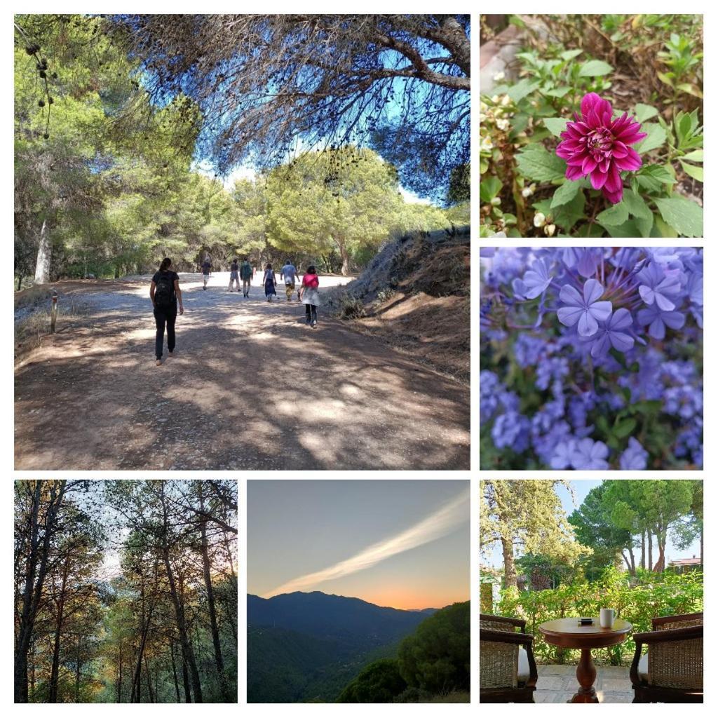 Tottam Art & Healthy Garden Villa Malaga Bagian luar foto