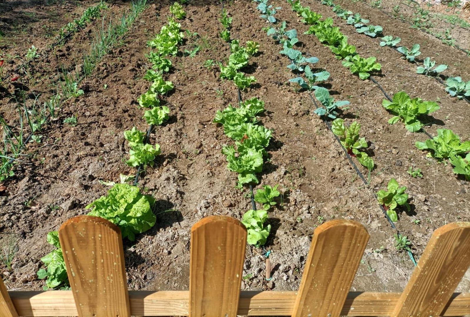 Tottam Art & Healthy Garden Villa Malaga Bagian luar foto