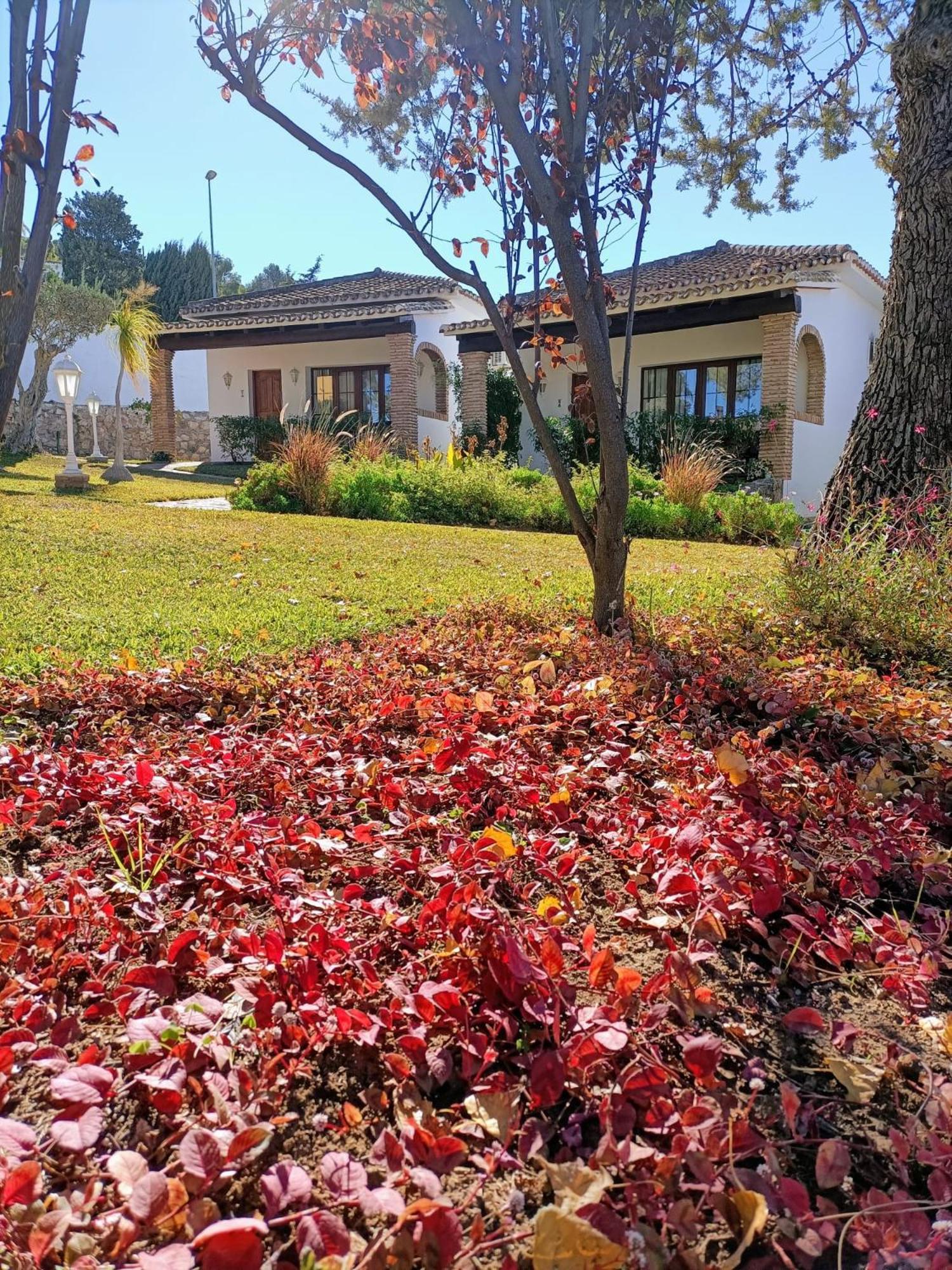 Tottam Art & Healthy Garden Villa Malaga Bagian luar foto